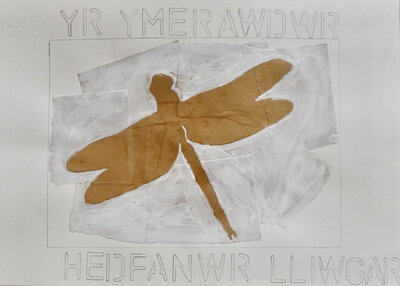 Lost Creatures - LC10