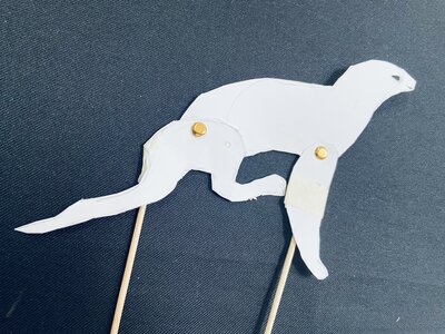 Children creating shadow puppets in workshop