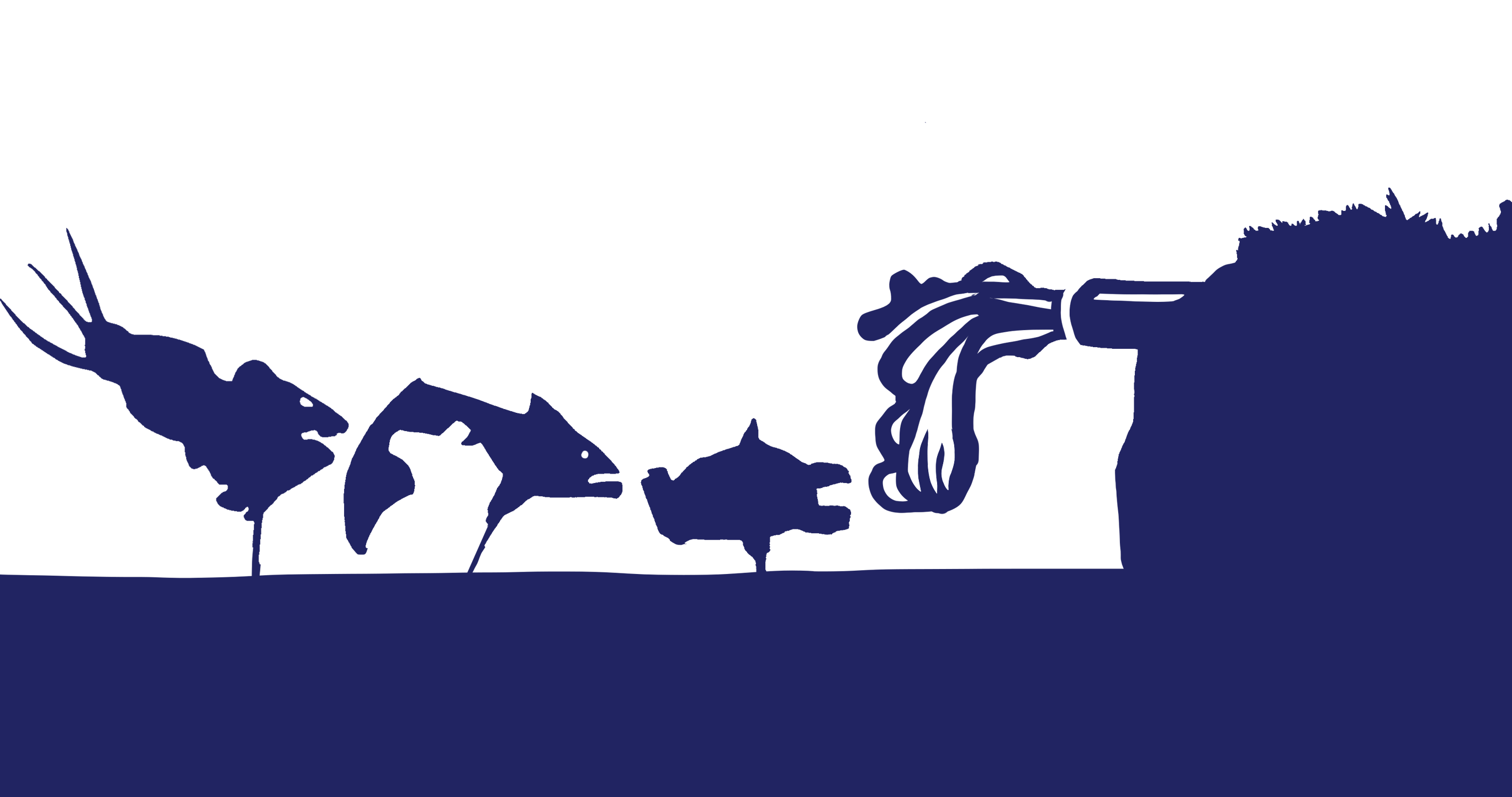 Shadow puppet video from Ysgol Cilgerran