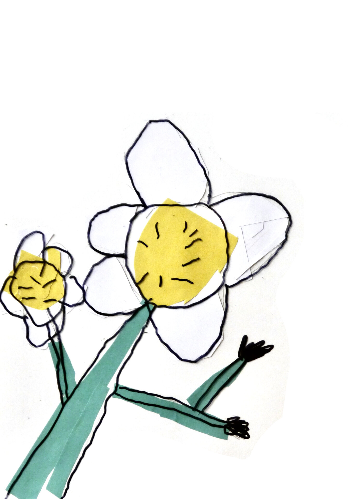 Water Crowfoot - P1070313