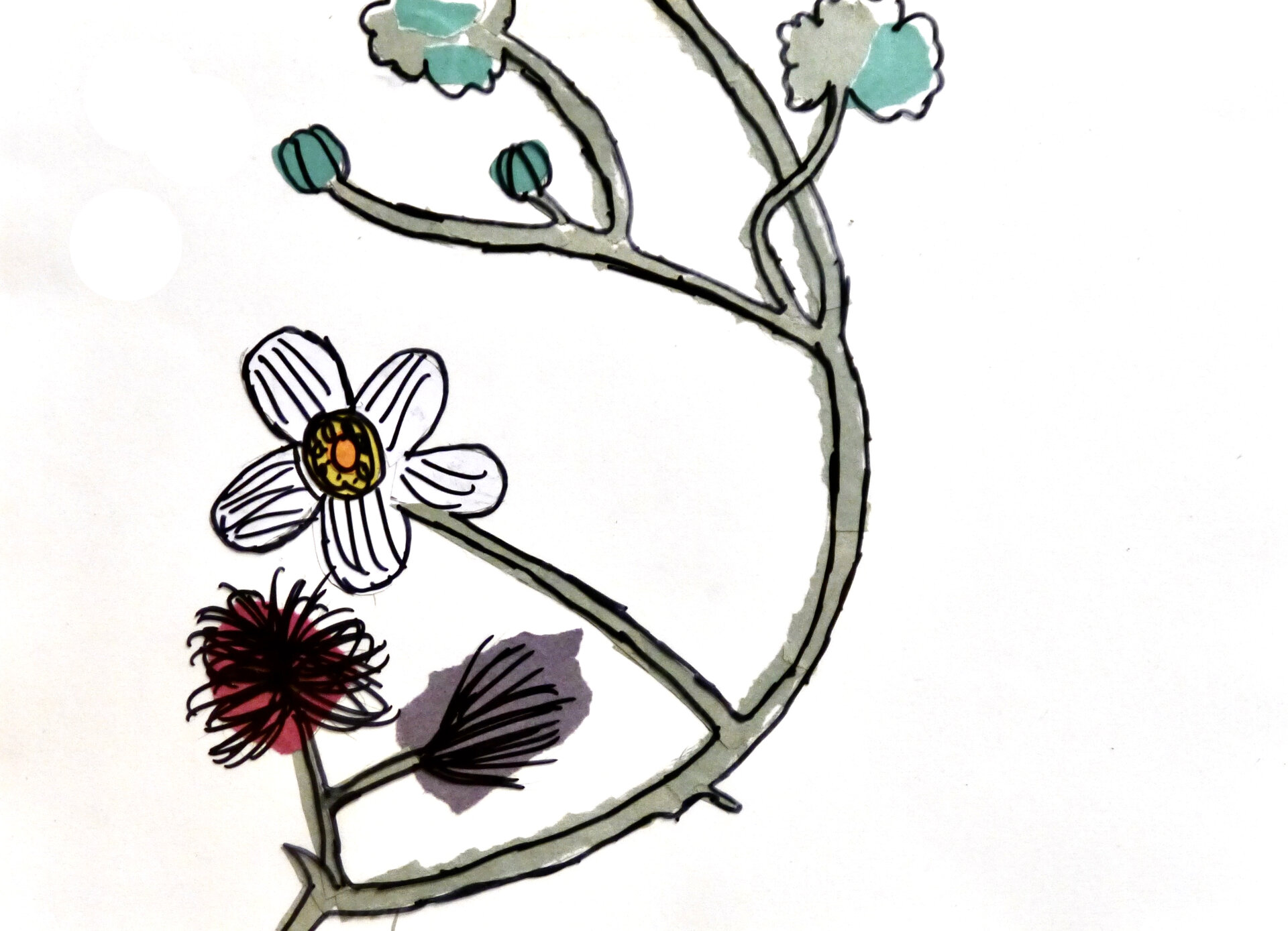 Water Crowfoot - P1070316