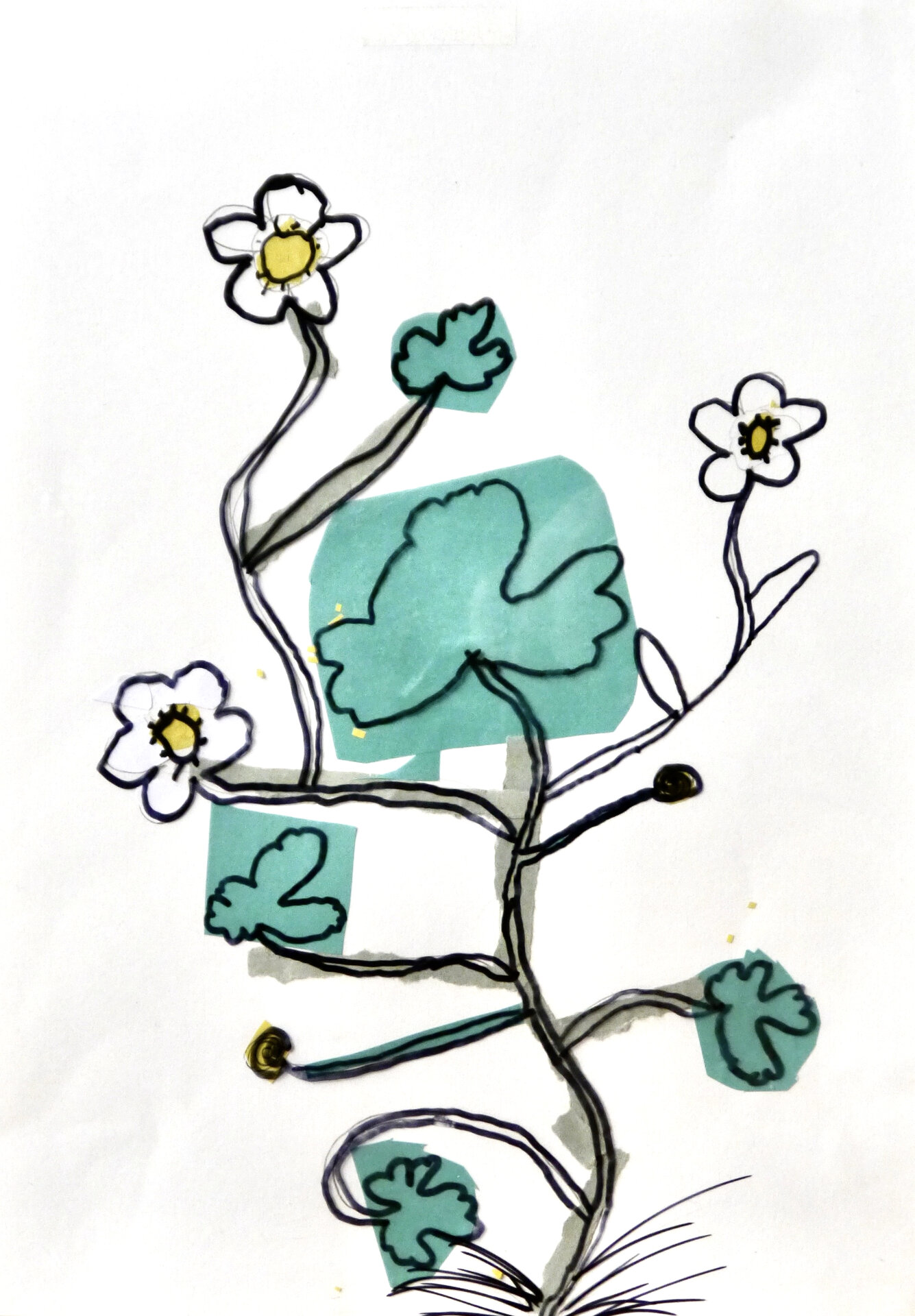 Water Crowfoot - P1070342