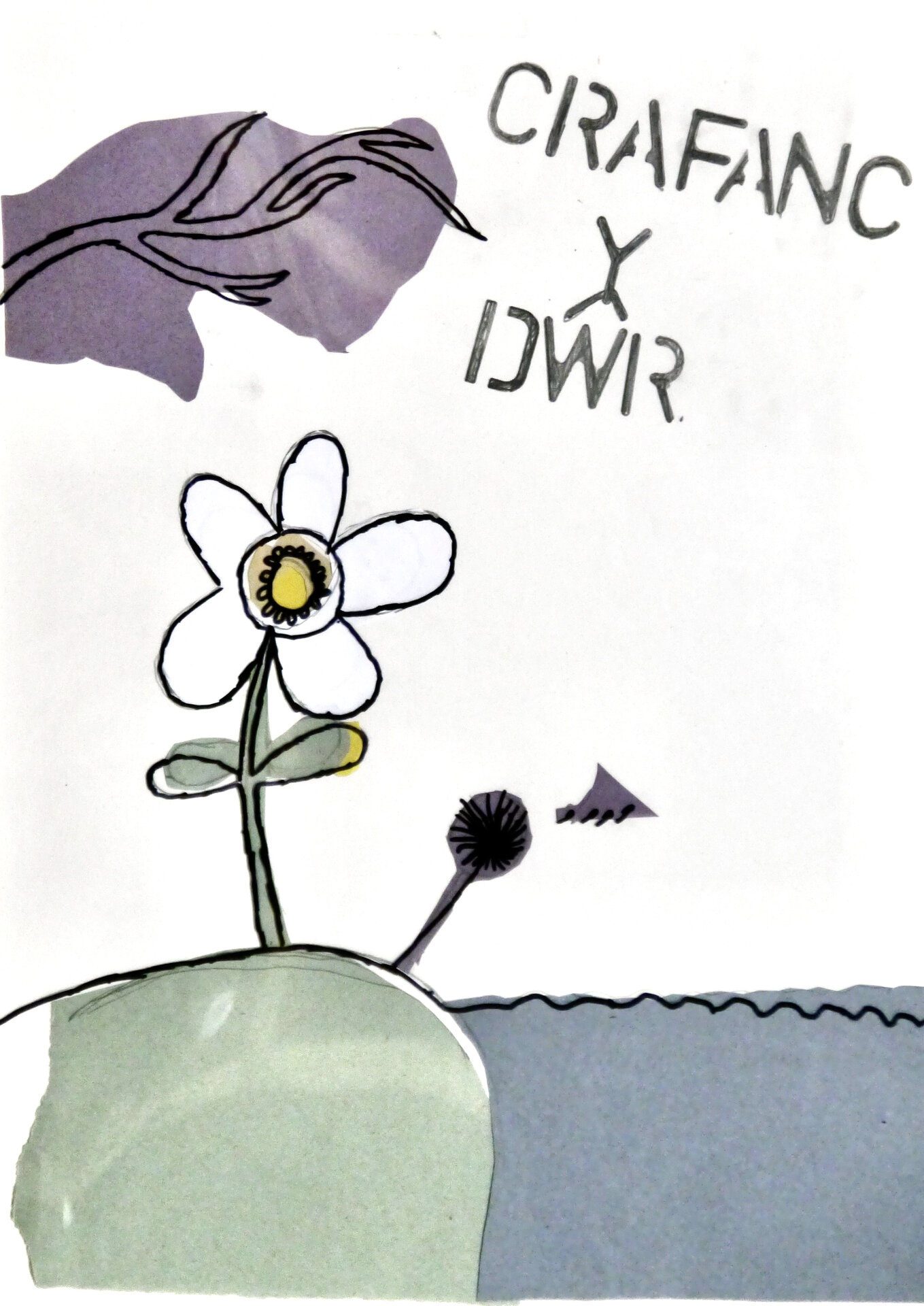 Water Crowfoot - P1070421