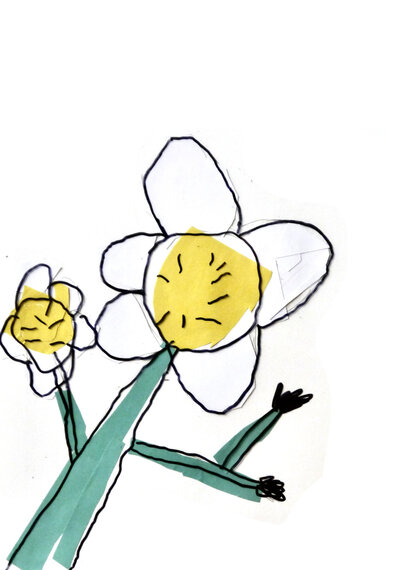 Water Crowfoot - P1070313