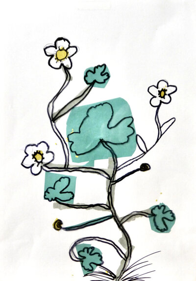 Water Crowfoot - P1070342