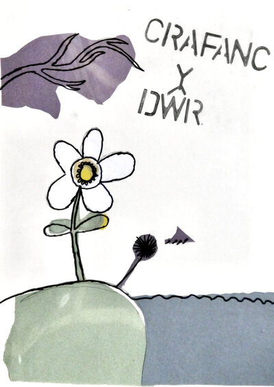 Water Crowfoot - P1070421